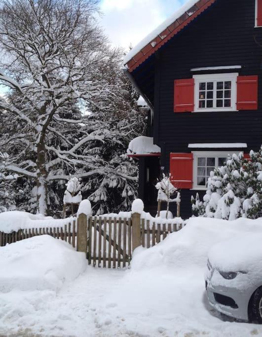 Villa Herzog - Ferienhaus Fuer 6 Personen In Braunlage, Harz Bagian luar foto